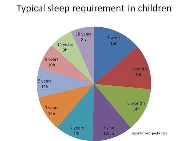 pie chart before